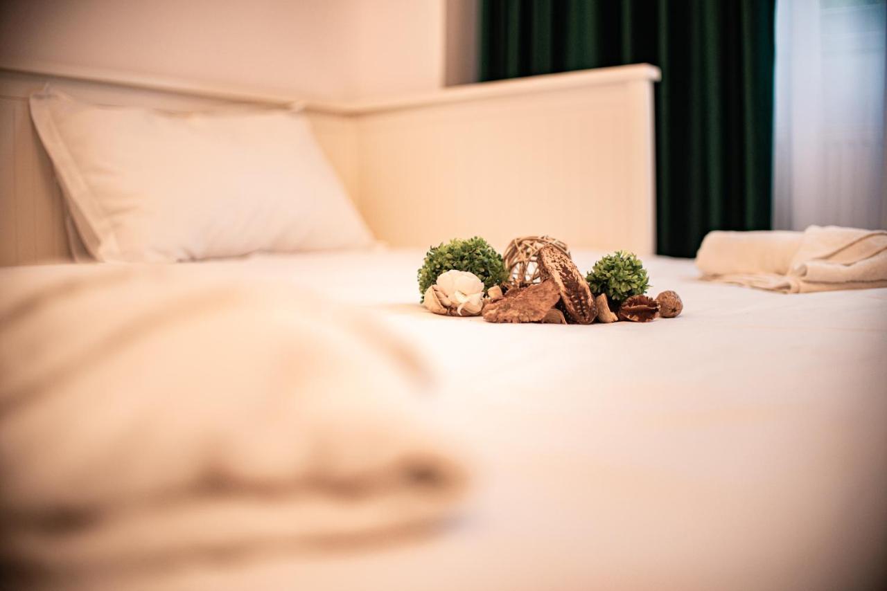 Forest Therapy Suite - Sub Padure Grand Comfort 布拉索夫 外观 照片